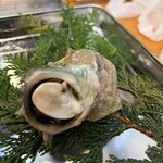 マルナカ水産 - サザエ