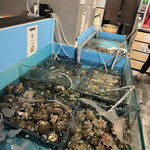 海鮮ブッフェダイニング 銀座八芳 - 