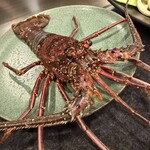 銀座 和牛鉄板焼 USHIGAMI - 