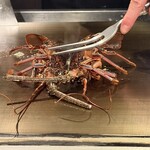 銀座 和牛鉄板焼 USHIGAMI - 