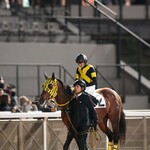 成田漬物本舗 - 10歳馬レベルフォーさんの斜め上辺りに成田漬物本舗さんがあります。