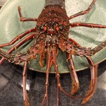 銀座 和牛鉄板焼 USHIGAMI - 