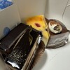 パティスリー ノアモア - 