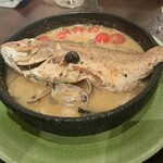 ワイン食堂　根 - アクアパッツア