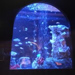 アクアリウムイタリアン心斎橋ライム - 