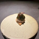 YANAGI TePPaN UNBORN GASTRONOMY - 