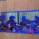 地鶏と沖縄琉球しゃぶしゃぶ 個室居酒屋 くろ凪 - 