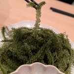 地鶏と沖縄琉球しゃぶしゃぶ 個室居酒屋 くろ凪 大阪本町店 - 