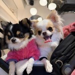 cafe & wine bar Noble One - 