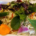 レストラン ペニーレイン 那須店 - ペニーレイン畑　1100円