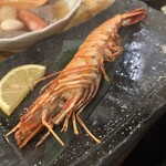 立川酒場 魚丸 - 海老