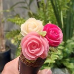 ディス イズ シゼン - 