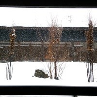 米澤牛DINING べこや - 中からの景色