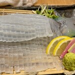 呼子活イカ 博多巻き串 燈 - イカデビル。