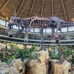 ディスカバリー・レストラン - 