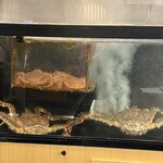 北海道 知夢仁 - 