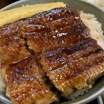 寳眞亭 - うな丼 ご飯大盛り