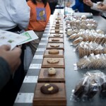 檸檬とラクダ - 