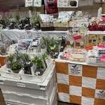 イオンスタイル - サンワークさんのお茶