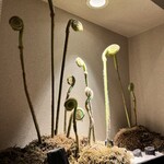 しゃぶしゃぶ ちり禅 - 