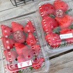 チャットベリー - 