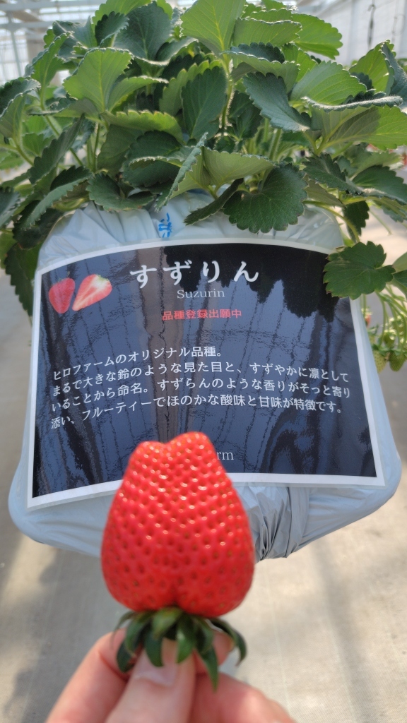 メニュー写真 : hiro farm （ヒロ ファーム） - 一ノ割/その他 | 食べログ