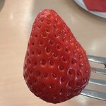 アオイ農園　ぶどうの木 - 