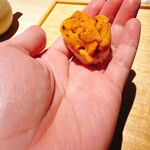 むら上 - ムラサキウニ