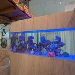 地鶏と沖縄琉球しゃぶしゃぶ 個室居酒屋 くろ凪 - 