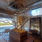 COFFEE BASE SHIMOGAMO - 