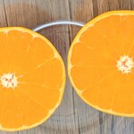 角上魚類 - 2個目‥カット。入刀の感覚・・病みつきｗｗｗ