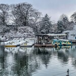 いせや - 貸ボート、この日、何処かの強者が一艘だけレンタルして池をボートで散歩してました。ヤバッ！