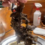 丸万焼鳥 本店 - 