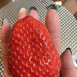 道の駅いたこ - 