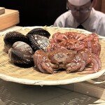 肉屋 田中 - 