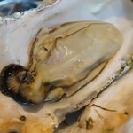 炭火割烹 稲米舎 - 