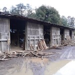 炭火割烹 稲米舎 - 