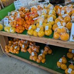 道の駅　桃山天下市 - 