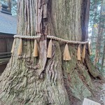 手打らーめん HIRO - 