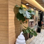 有機茶寮 byソルビバ - 