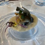 ル・ニコ・ア・オーミナミ - 前菜