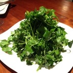 Osteria Pizzeria PRIMO - 山盛りクレソンサラダ〜♪