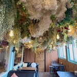 花カフェ コキア - 