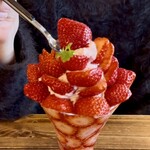 花カフェ コキア - 