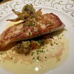 コントワール ミサゴ - 