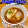 自家製麺 TERRA - 