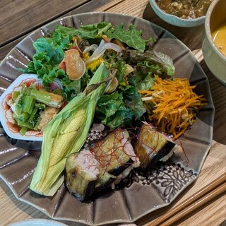 ベジサラ舎 すこやか食堂_0