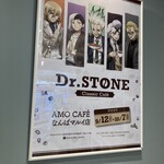 AMO CAFE - 【Dr.STONE】店内