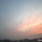 米澤牛バル 譽 - 