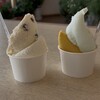 レークヒル・ファーム - ミルククリーム＆ラムレ一ズン（左）カムイ・ミンタルの塩＆カボチャ（右）
